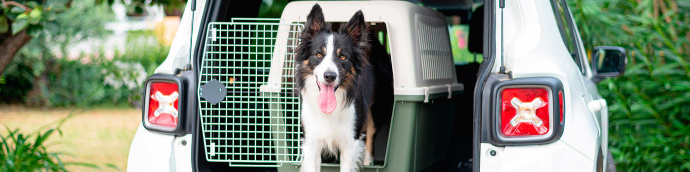 BOXEN & TRANSPORTBOXEN