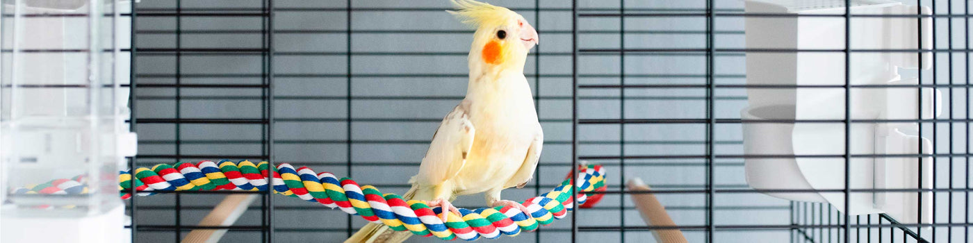 ZUBEHÖR