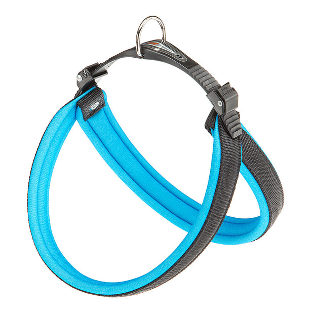 AGILA FLUO 1-9
