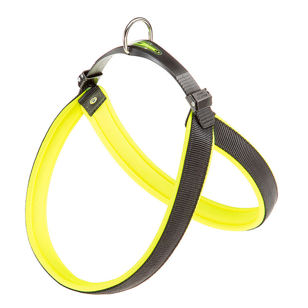 AGILA FLUO 1-9