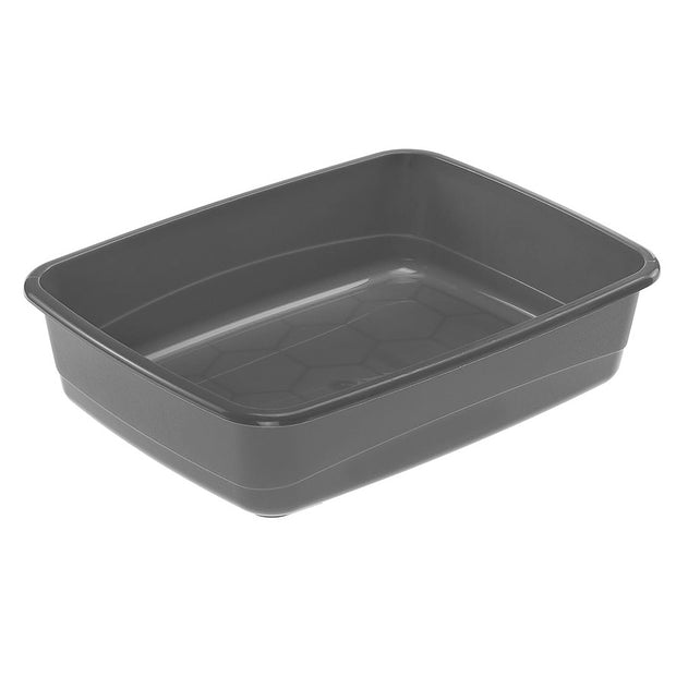 Boden Clear Cat