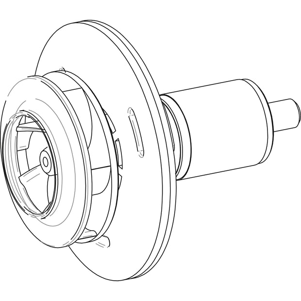 Seltz D DC-Rotor