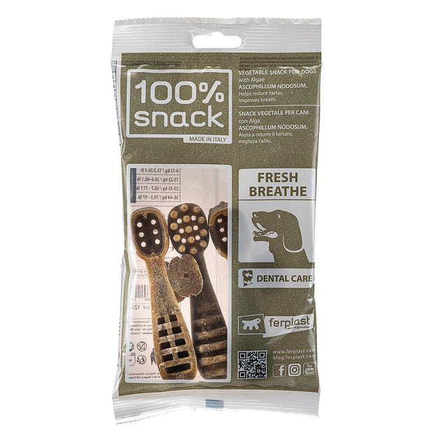 100% SNACK BEFÜLLBAR -  TOOTHBRUSH ASCOPHILLUM