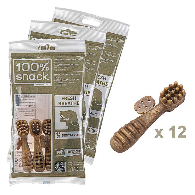 100% SNACK BEFÜLLBAR - TOOTHBRUSH ASCOPHILLUM