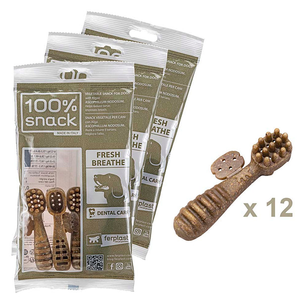 100% SNACK BEFÜLLBAR -  TOOTHBRUSH ASCOPHILLUM