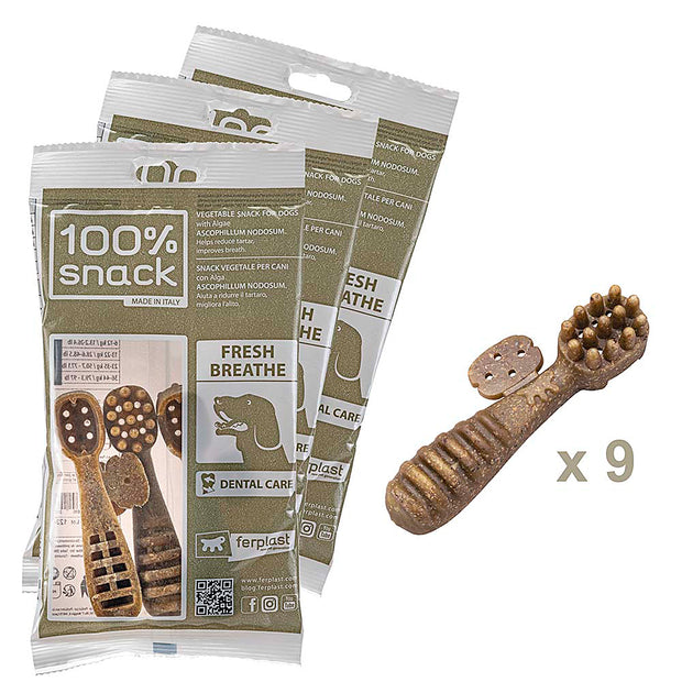 100% SNACK BEFÜLLBAR -  TOOTHBRUSH ASCOPHILLUM