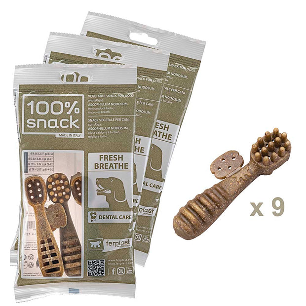 100% SNACK BEFÜLLBAR -  TOOTHBRUSH ASCOPHILLUM