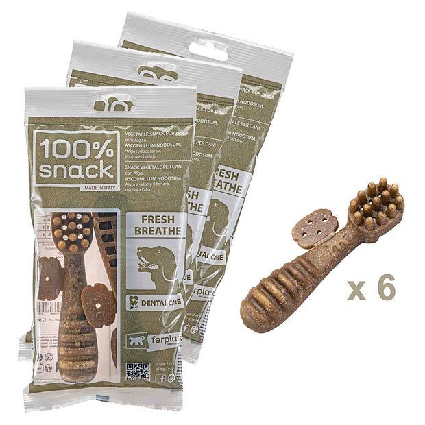 100% SNACK BEFÜLLBAR -  TOOTHBRUSH ASCOPHILLUM