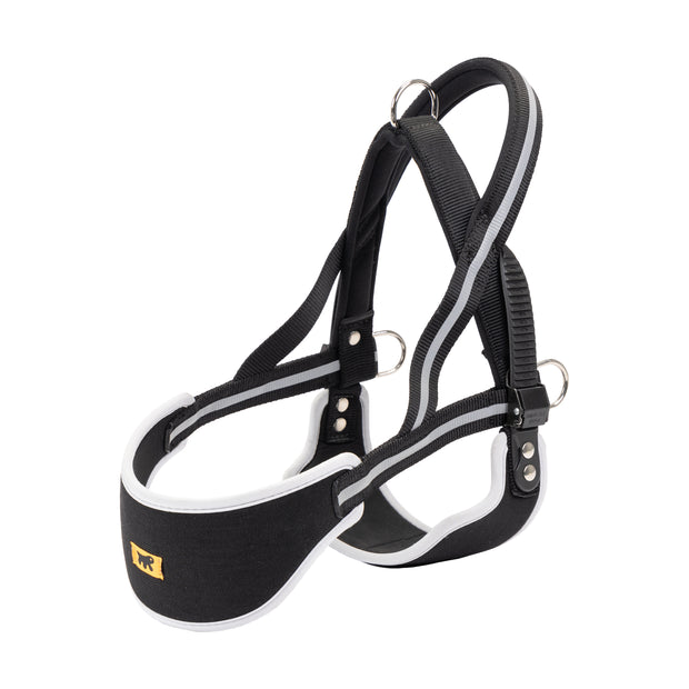 ERGOCOMFORT NORDIC