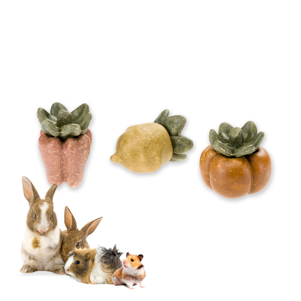 VEGGIE BITES GEMÜSE