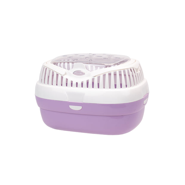 ALADINO LARGE
