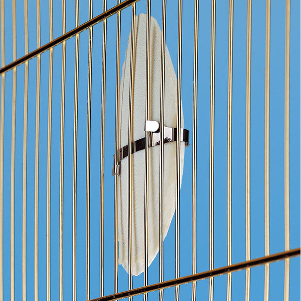 Tintenfischknochen PA 4330