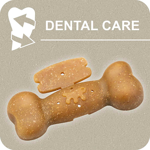 100% SNACK BEFÜLLBAR - BONE EUGLENA