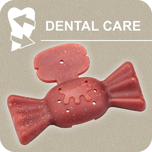 100% SNACK BEFÜLLBAR - CANDY YUCCA