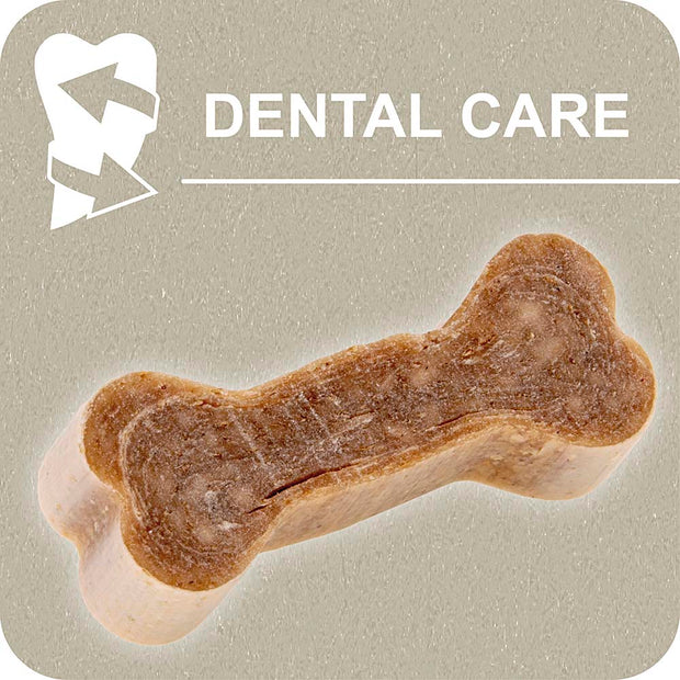 100% SNACK COOKIE - BONE EUGLENA