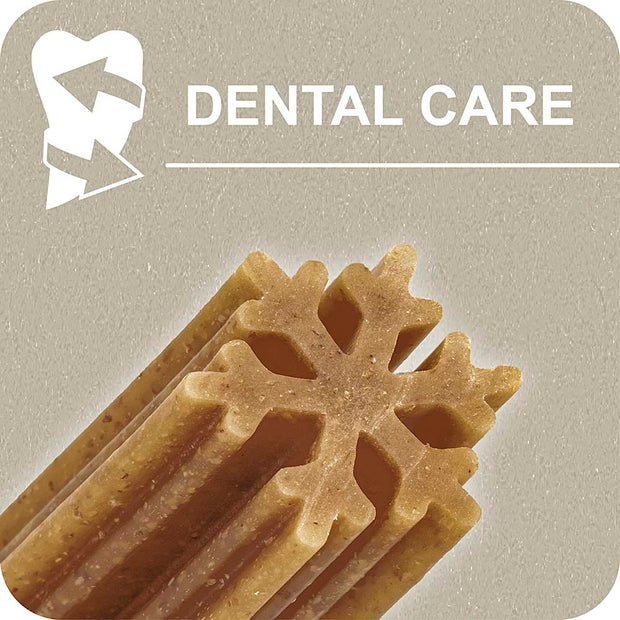 100% SNACK STICKS - SNOWFLAKE EUGLENA