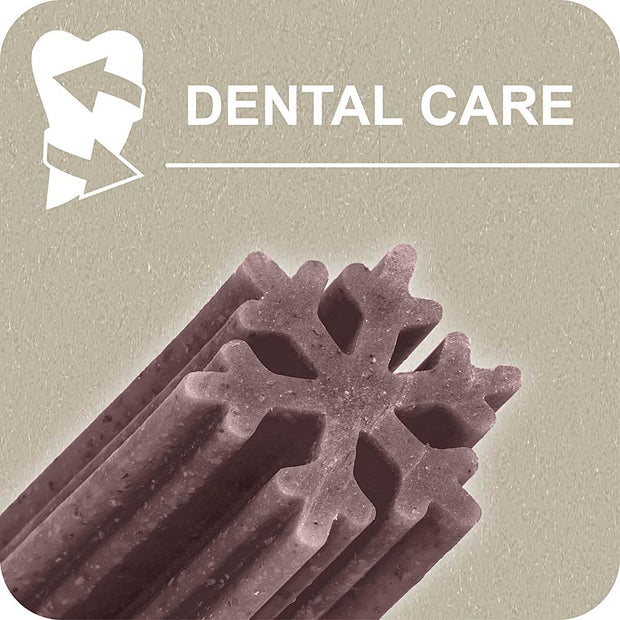 100% SNACK STICKS - SNOWFLAKE MELISSA