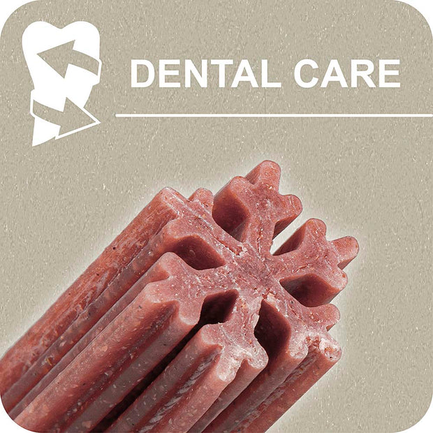 100% SNACK STICKS - SNOWFLAKE YUCCA