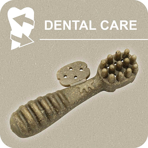 100% SNACK BEFÜLLBAR -  TOOTHBRUSH ASCOPHILLUM