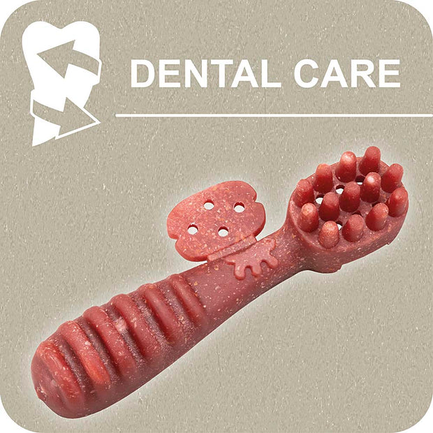 100% SNACK BEFÜLLBAR -  TOOTHBRUSH YUCCA