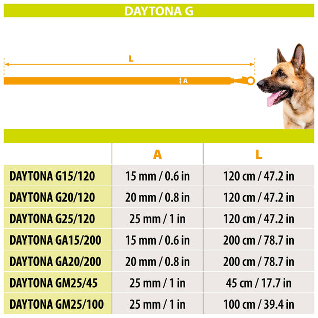 DAYTONA GA