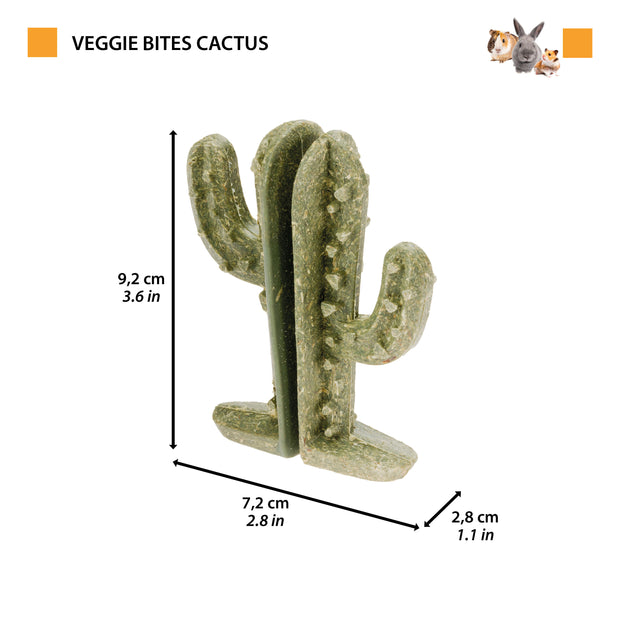 VEGGIE BITES KAKTUS