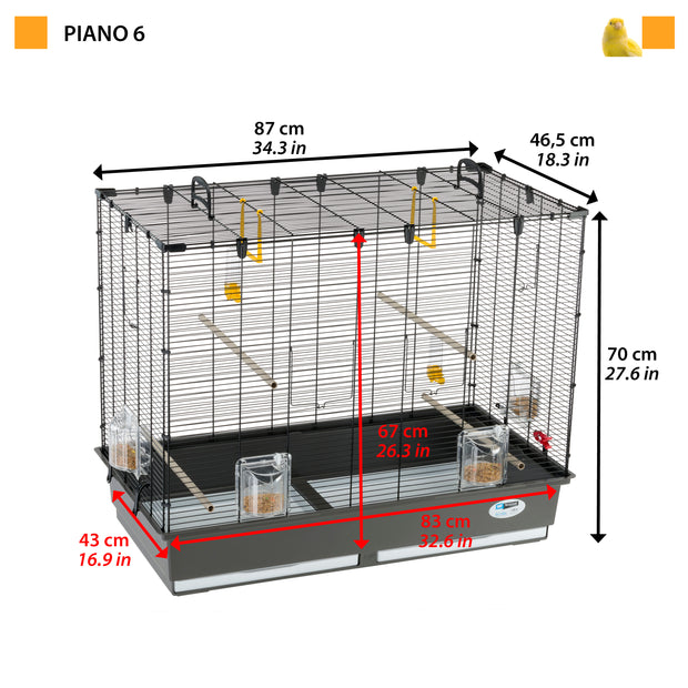 PIANO 6