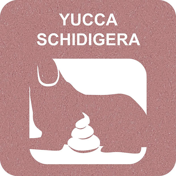 100% SNACK BEFÜLLBAR - CANDY YUCCA