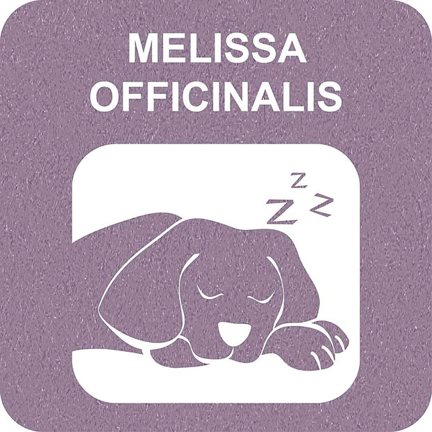 100% SNACK STICKS - FUSILLI MELISSA