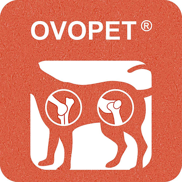 100% SNACK COOKIE - BONE OVOPET