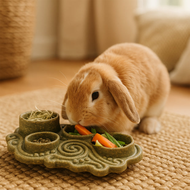 VEGGIE BITES NAPF