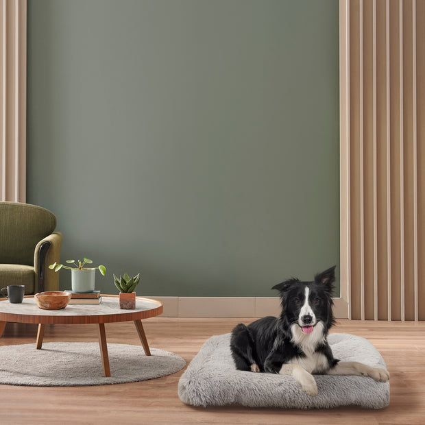 SHANTI Hundebett und Katzenbett