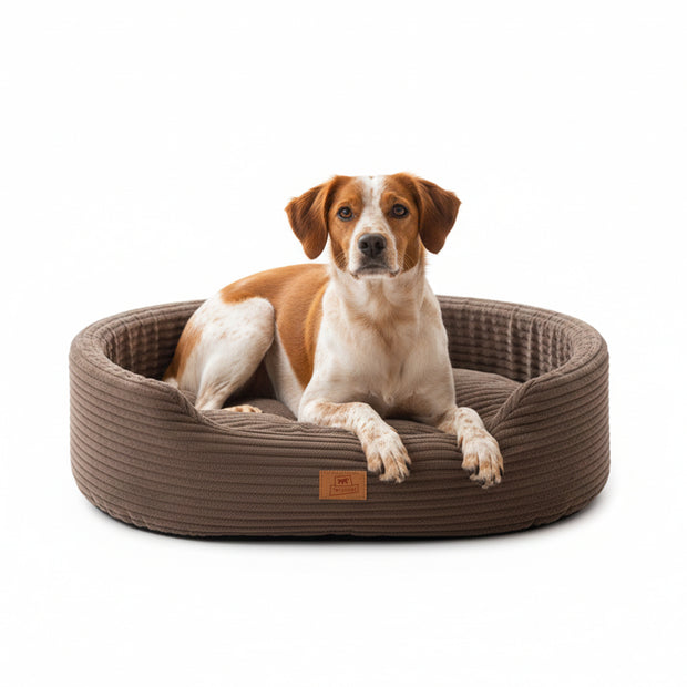 DANDY CORDUROY Sofa-Bett mit herausnehmbarem Kissen für Hunde und Katzen
