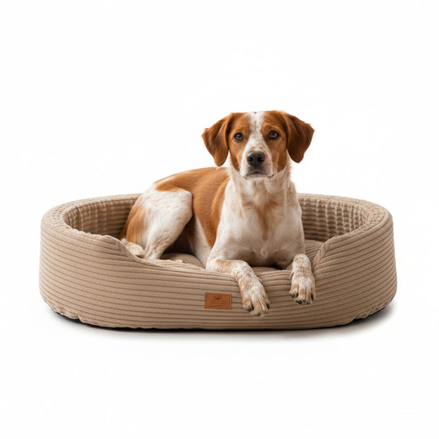 DANDY CORDUROY Sofa-Bett mit herausnehmbarem Kissen für Hunde und Katzen