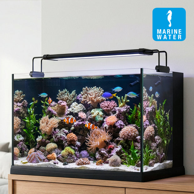AQ-LUX REEF LED-Lampe