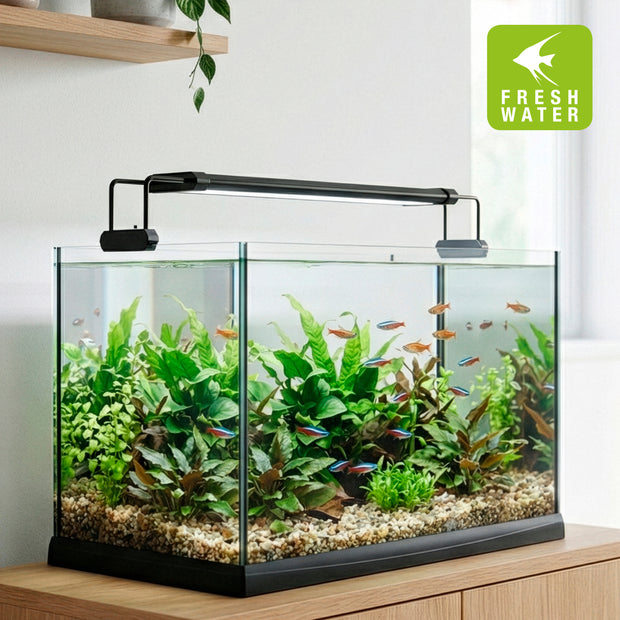 AQ-LUX FRESH LED-Lampe