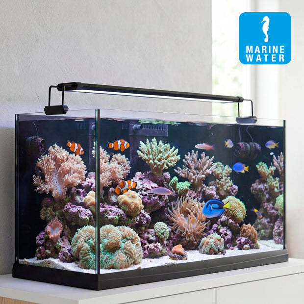AQ-LUX REEF LED-Lampe