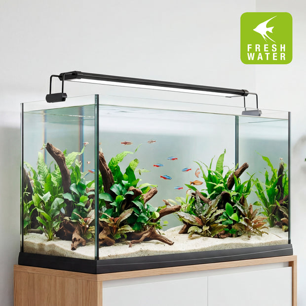 AQ-LUX FRESH LED-Lampe