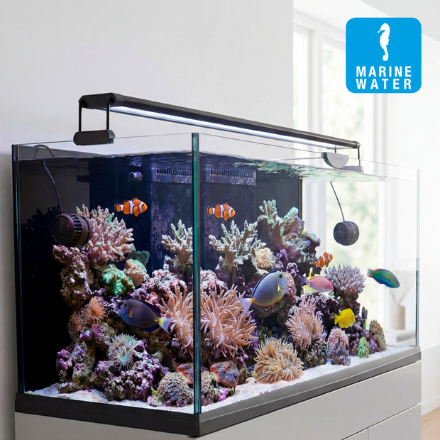 AQ-LUX REEF LED-Lampe