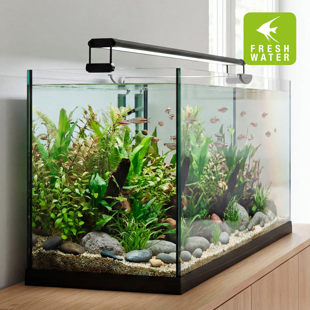 AQ-LUX FRESH LED-Lampe