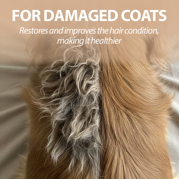 NATURE’ HUNDESHAMPOO MIT GRÜNER TONERDE
