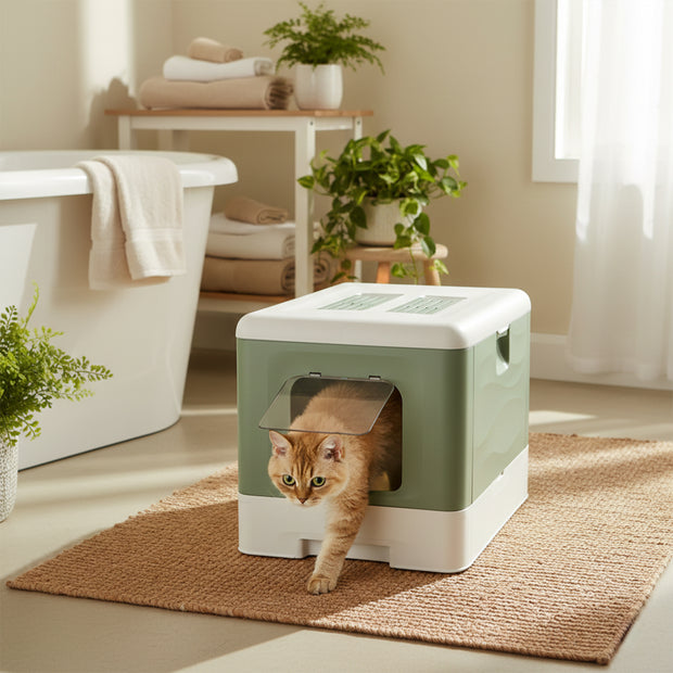 SAHARA Katzentoilette