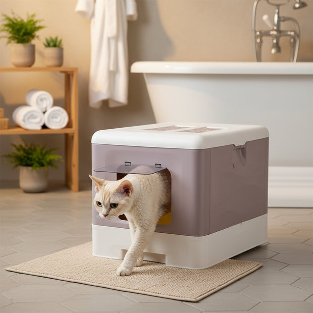 SAHARA Katzentoilette