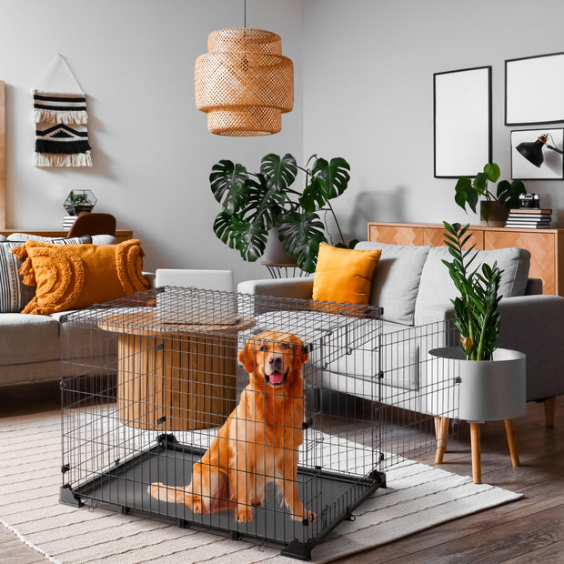 DOG ZONE Hundebox