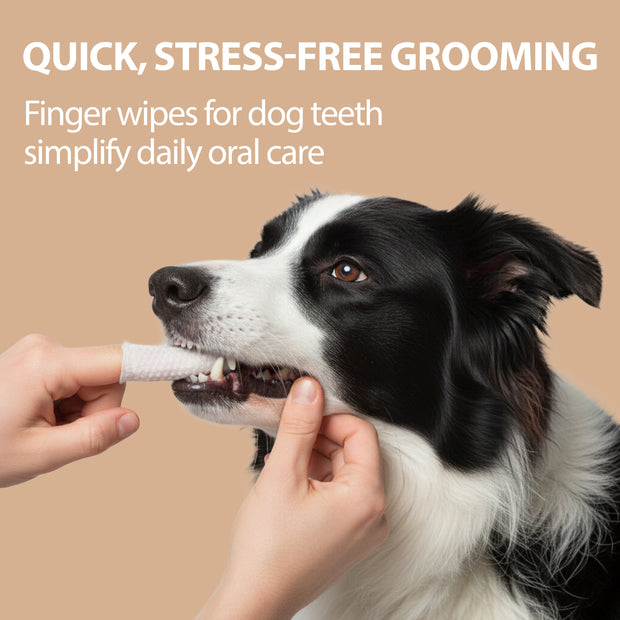 DENTALE FINGERPADS ZUR EINMALIGEN VERWENDUNG NATURÉ – FÜR HUNDE UND KATZEN (50 Stück)