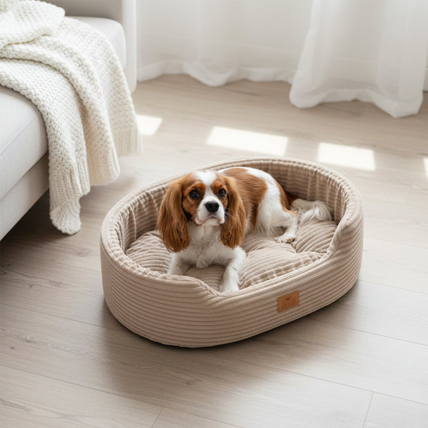 DANDY CORDUROY Sofa-Bett mit herausnehmbarem Kissen für Hunde und Katzen