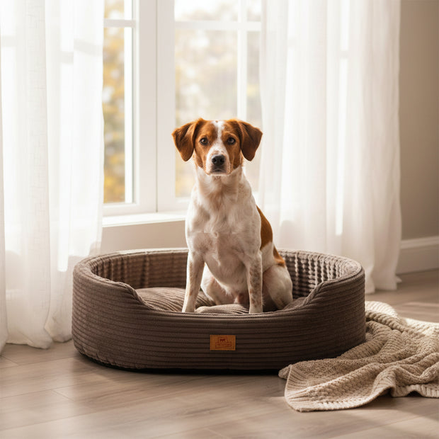 DANDY CORDUROY Sofa-Bett mit herausnehmbarem Kissen für Hunde und Katzen