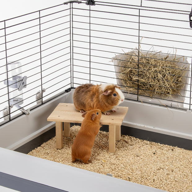 ARCADE TABLE Holzspielzeug für Kleintiere