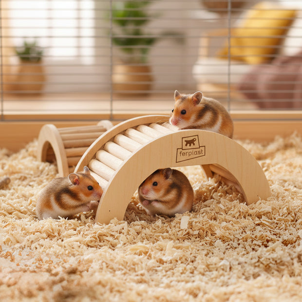 ARCADE ARCH Holzspielzeug für Hamster