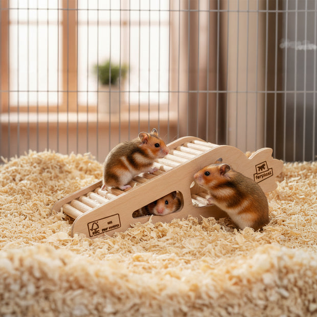ARCADE CARROT Holzspielzeug für Hamster